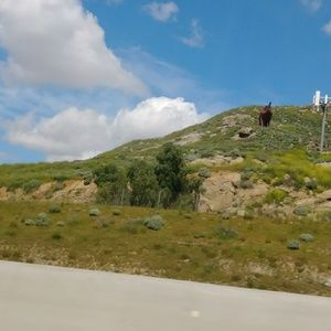 Meet your Posher, Felix